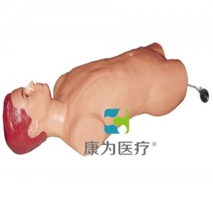 沁县“康为医疗”股动脉穿刺标准化模拟病人,股动脉穿刺模型