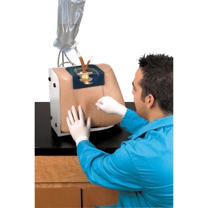 “康为医疗”腰椎穿刺模型LF01036U Spinal Injection Simulator