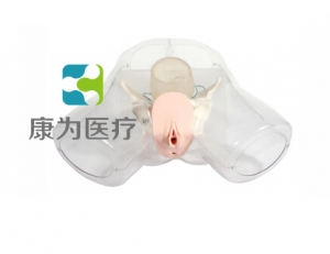鄂州“康为医疗”女性宫腔电切模型