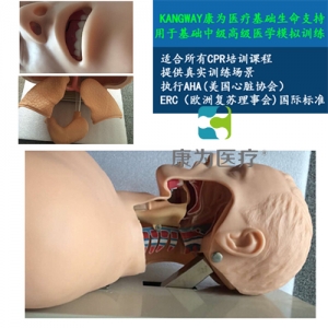 晋城“康为医疗”高级电子气管插管训练模型(带报警)气管插管训练模型