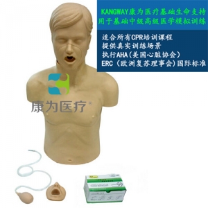 晋城“康为医疗”高级成人气道梗塞及CPR模型,气道梗塞及CPR模型
