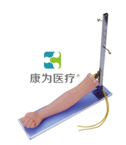 渭南“康为医疗”静脉注射手臂模型（带支架）