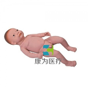 郑州“康为医疗”高级足月胎儿模型（男婴、女婴任选）