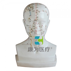 贵州“康为医疗”头针灸模型20CM