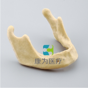 青岛“康为医疗”下颌骨种植模型