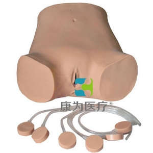“康为医疗”高级电子腹腔穿刺训练标准化模拟病人,腹腔穿刺操作训练模型（带电子监测）