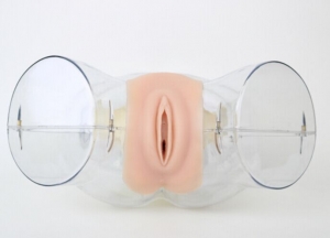 “康为医疗”高级透明刮宫模型,透明刮宫操作模型